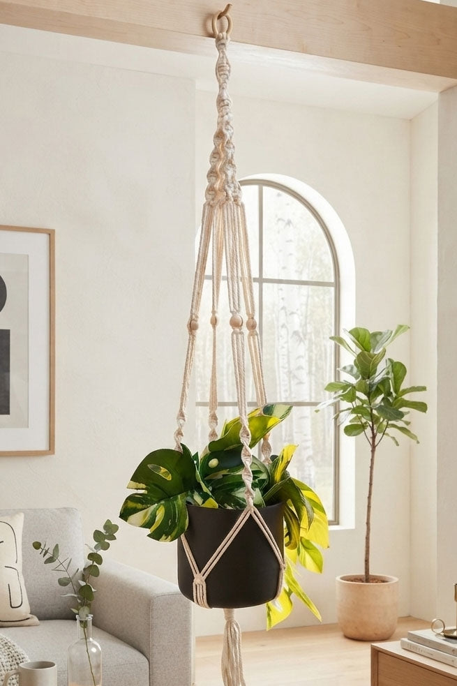Plant hanger