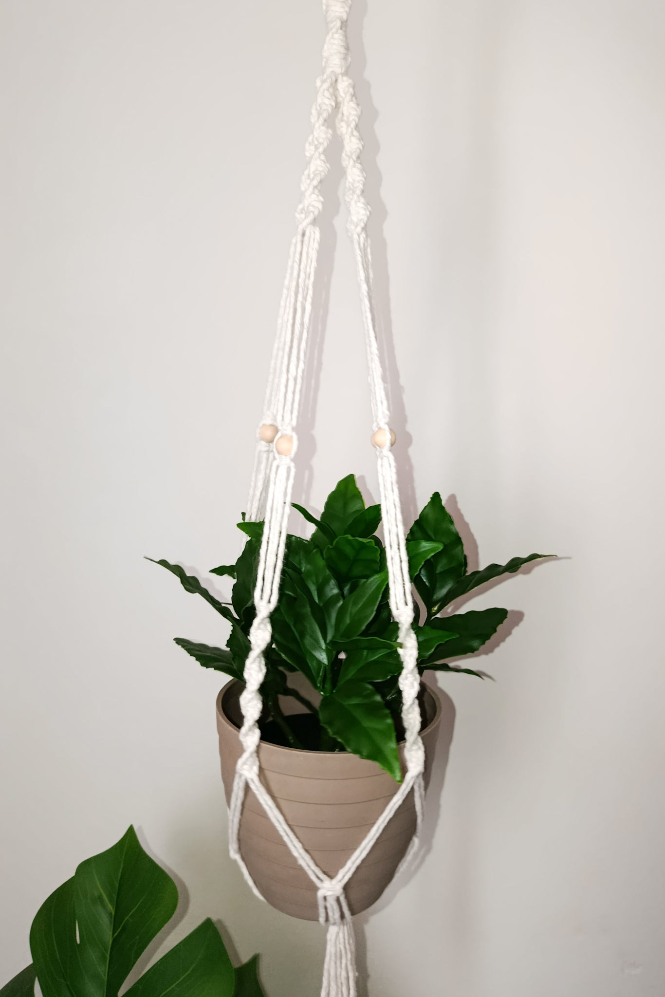 Plant hanger
