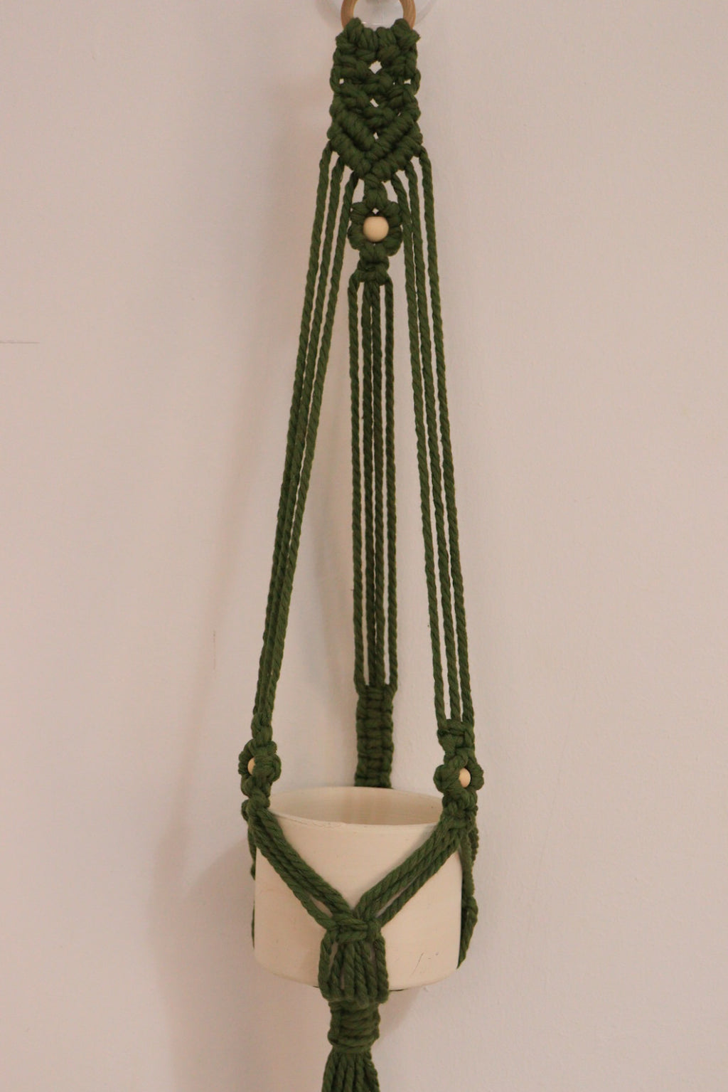 Plant Hanger