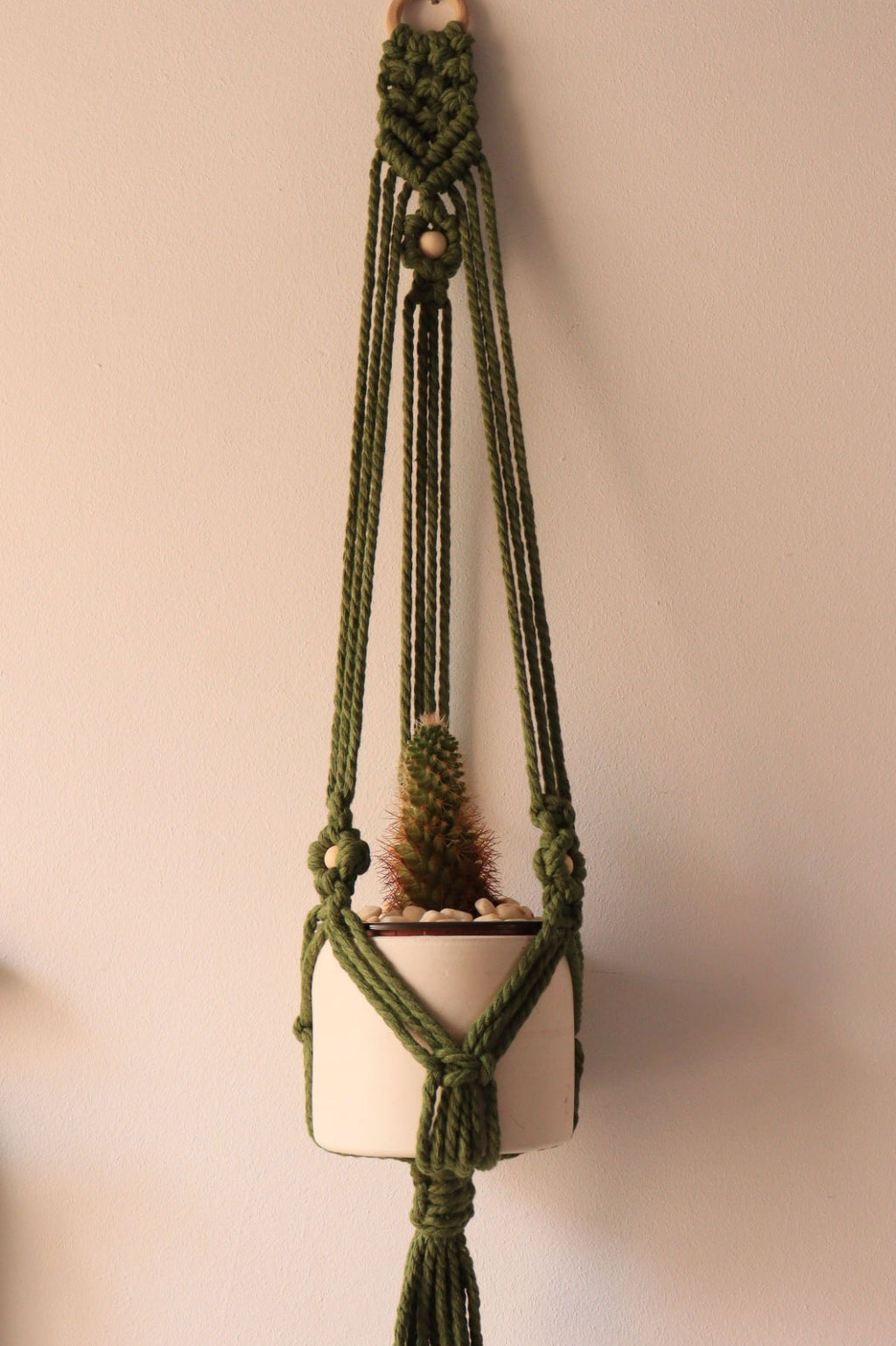 Plant Hanger
