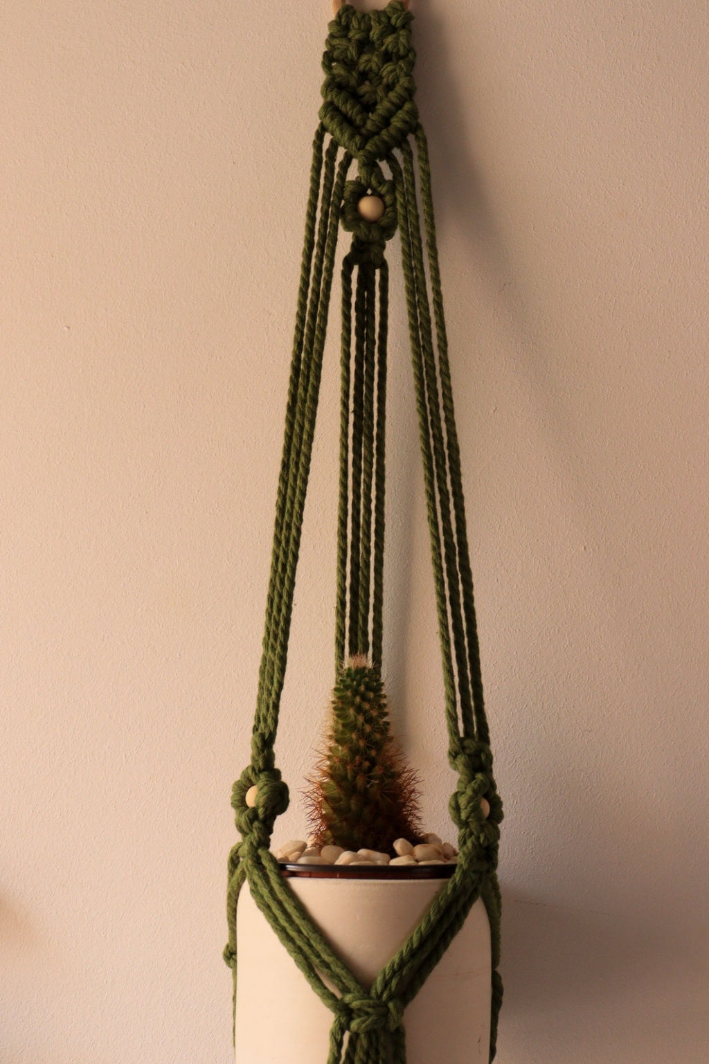 Plant Hanger