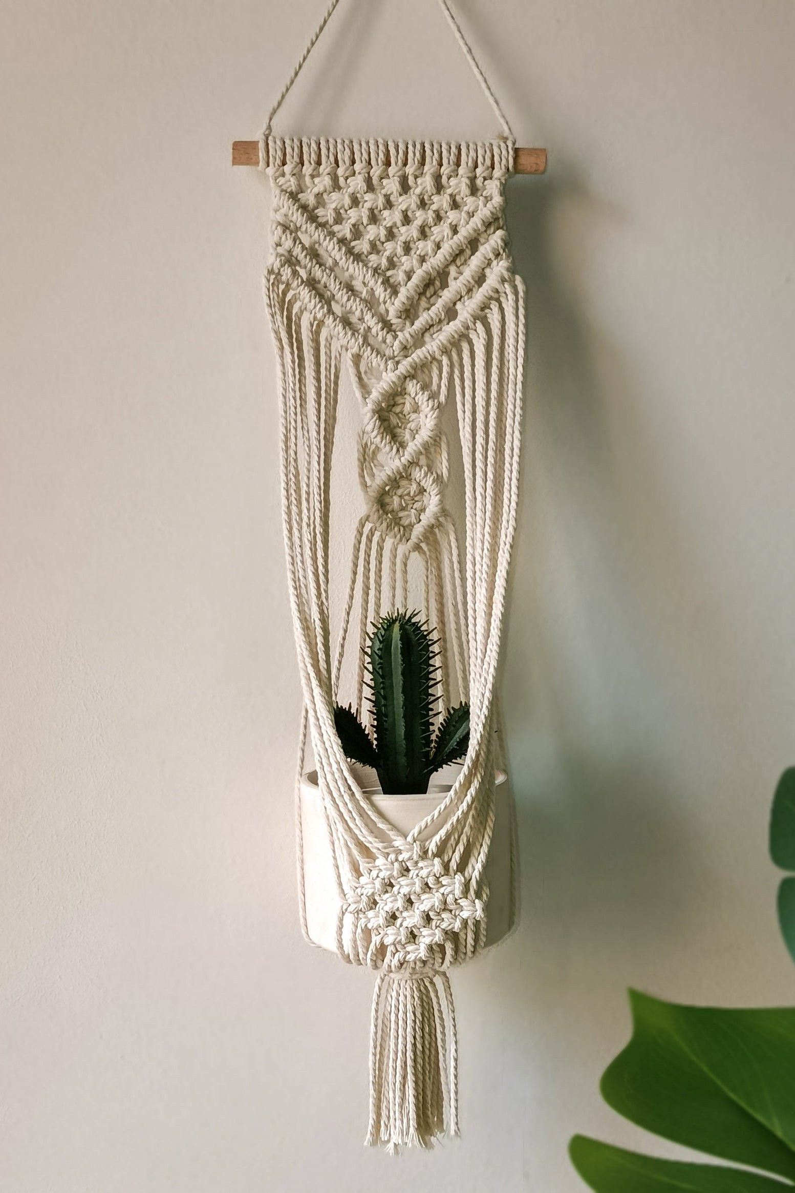 Plant Hanger