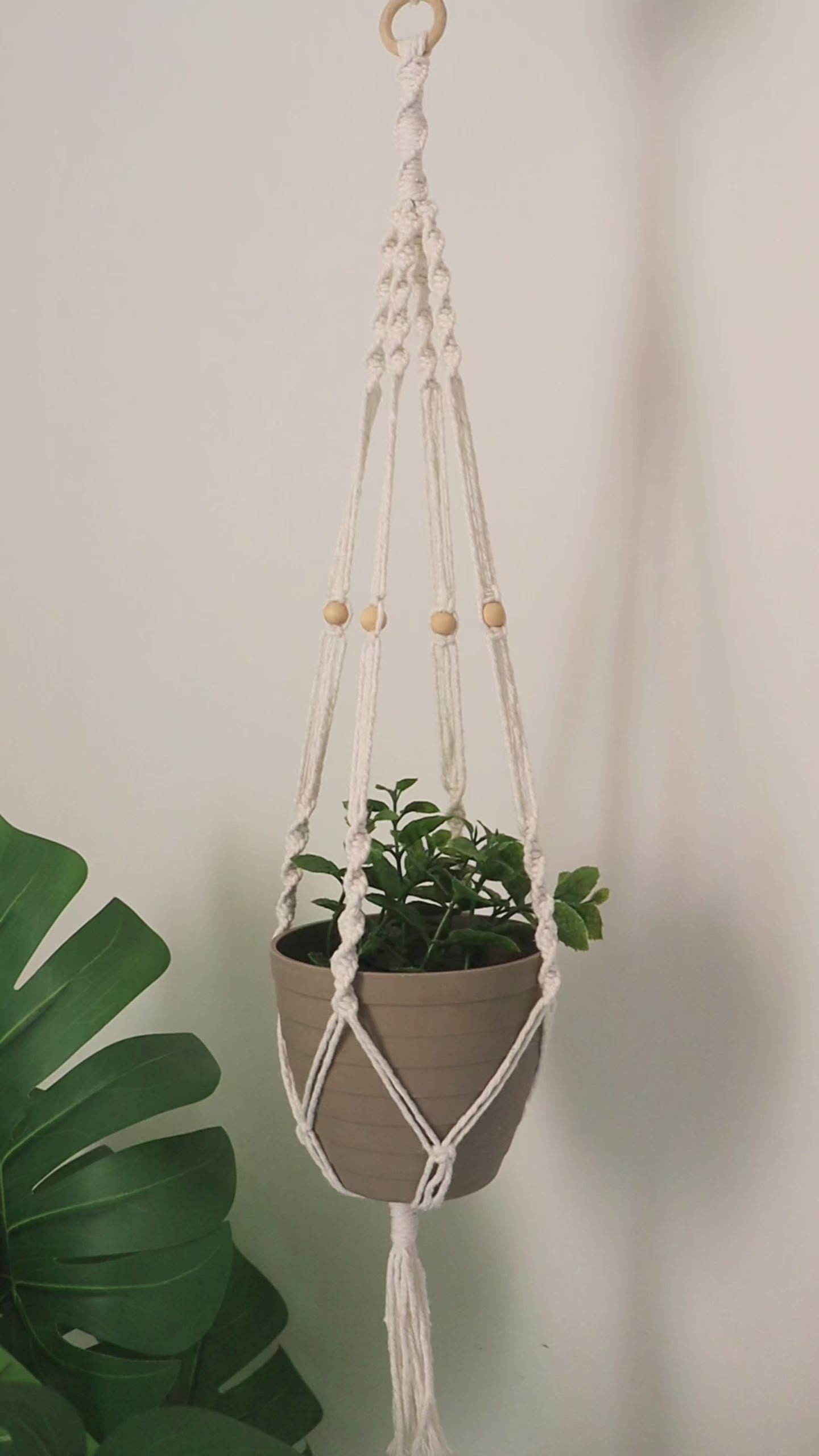 Plant hanger